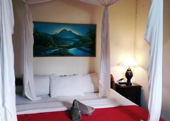Volcano Living 2*