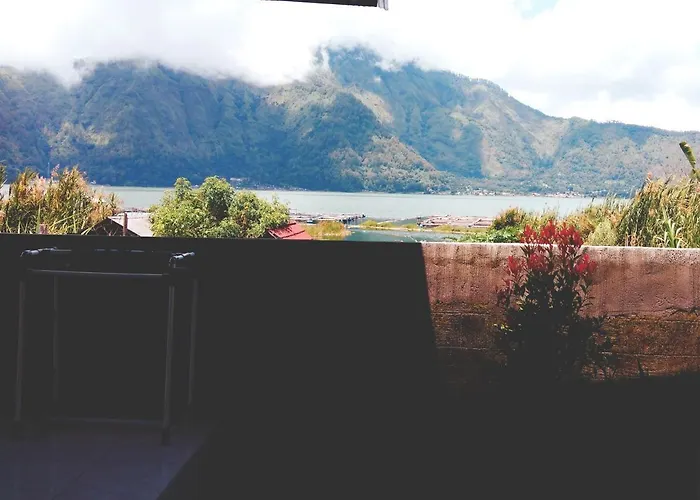 Volcano Living